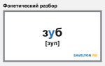 Фонетический разбор слова «зуб»