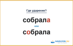 «СобралА» или «сОбрала» — куда падает ударение?