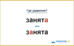 «ЗанятА» или «зАнята» — как правильно ставить ударение?