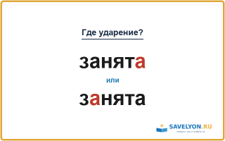 «ЗанятА» или «зАнята» — как правильно ставить ударение?
