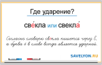 Ударение в слове СВЕКЛА