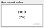 Фонетический разбор слова «лес»