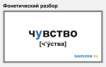 Фонетический разбор слова «чувство»