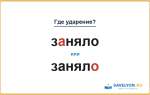 «ЗАняло» или «занялО» — куда падает ударение?