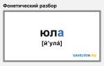 Фонетический разбор «юла»
