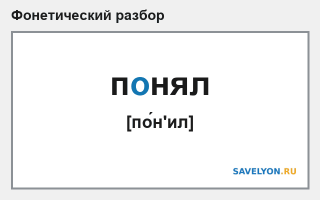 Фонетический разбор слова «понял»