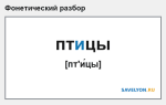 Фонетический разбор слова «птицы»