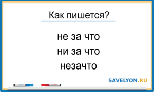 Как писать «не за что»