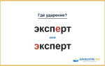 «ЭкспЕрт» или «Эксперт» — как правильно произносить?