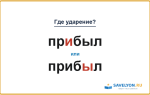 «ПрИбыл» или «прибЫл» — куда падает ударение?