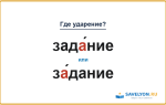 «ЗадА́ние» или «зА́дание» — куда падает ударение?