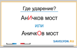 Ударение в слове АНИЧКОВ
