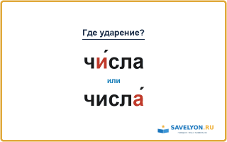 «ЧИ́сла» или «числА́» — куда падает ударение?
