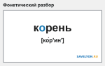 Фонетический разбор слова «корень»