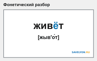 Фонетический разбор слова «живёт»