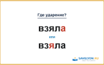 «ВзялА» или «взЯла» — как правильно ставить ударение?