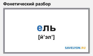 Фонетический разбор слова «ель»