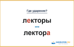 «ЛЕкторы» или «лекторА» — как правильно во множественном числе?