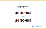 «ЦепОчка» или «цЕпочка» — как правильно ставить ударение?